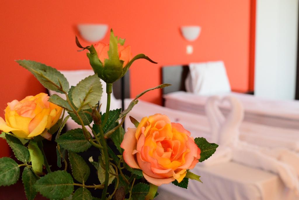 Hotel Alexander Sofia Bagian luar foto